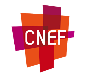 CNEF — Conseil National des Évangéliques de France